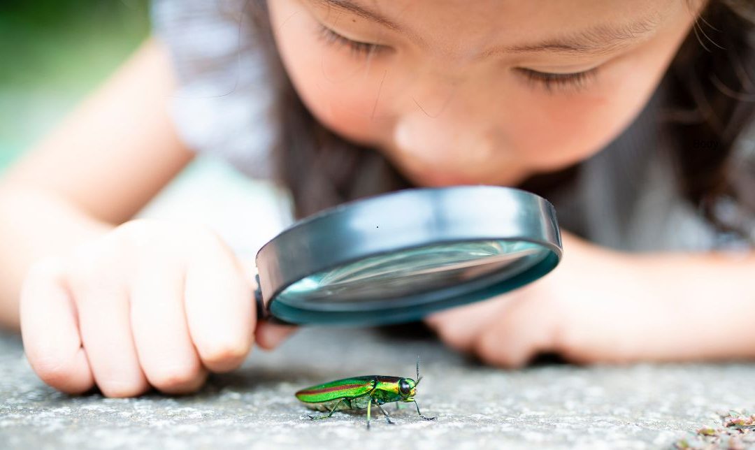 Why is Curiosity so Hard to Build at Work?